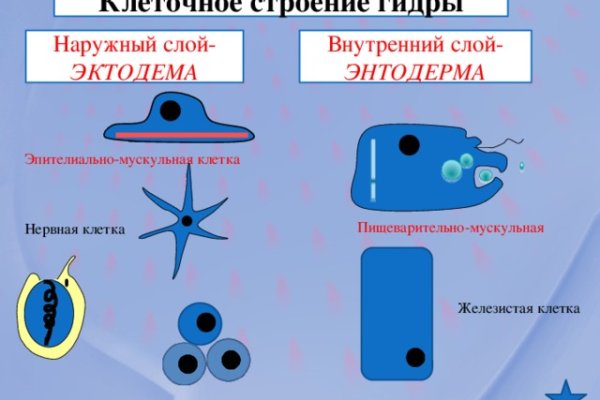 Кракен даркнет маркет зеркала